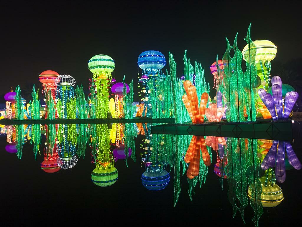 Оазис света и красок: Дубайский парк великолепных иллюминаций